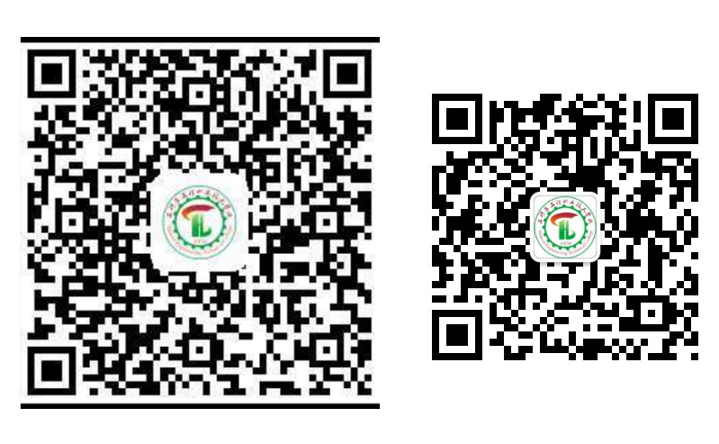 1595735278161141.jpg 4.jpg